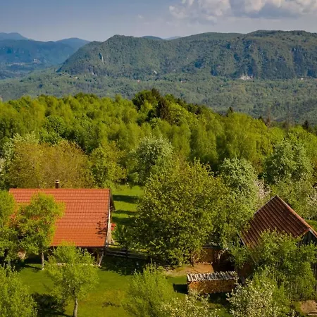 Ferienhaus 